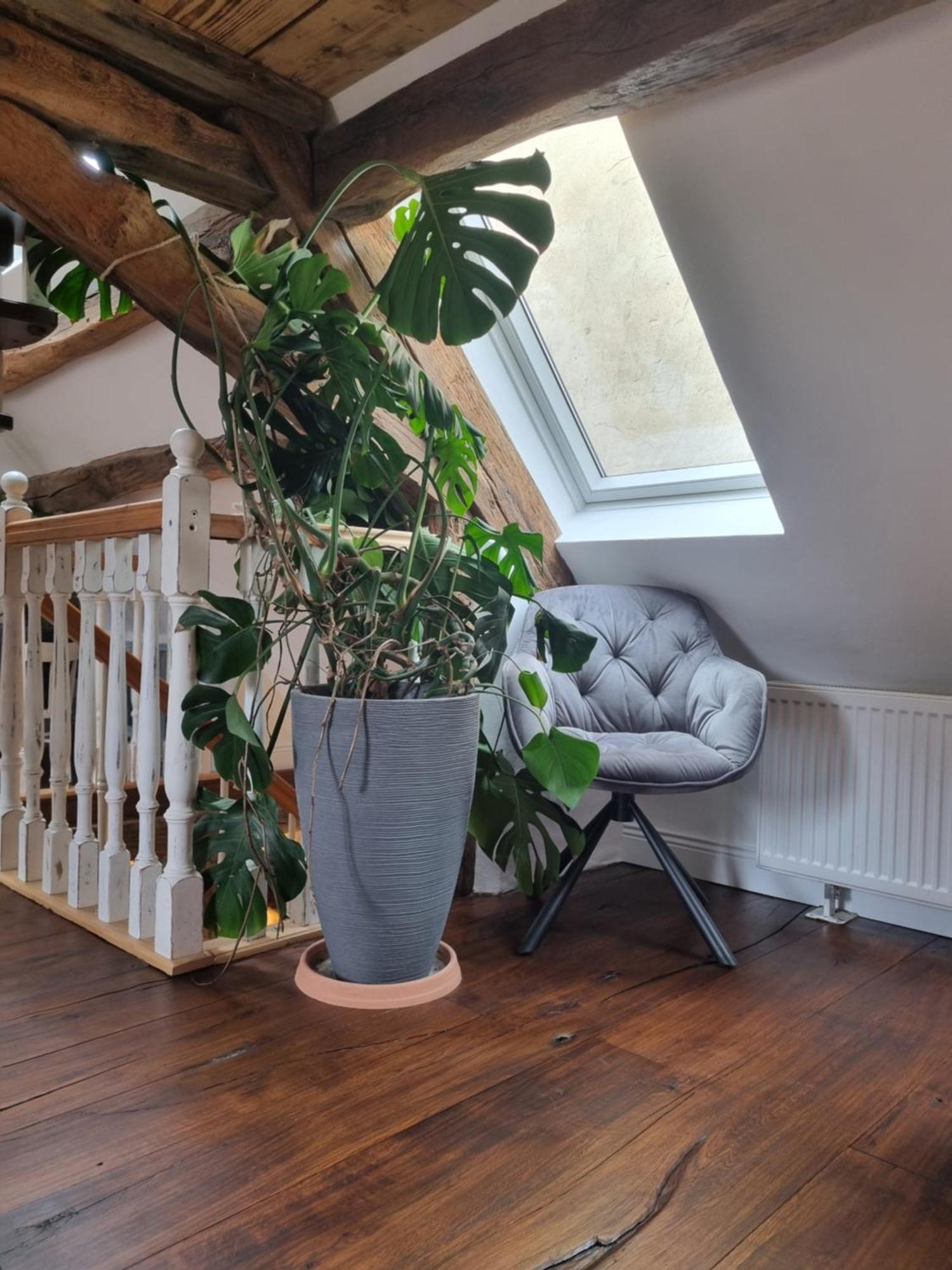 Nachtwaechterhaeuschen Mit Sauna Villa Blieskastel